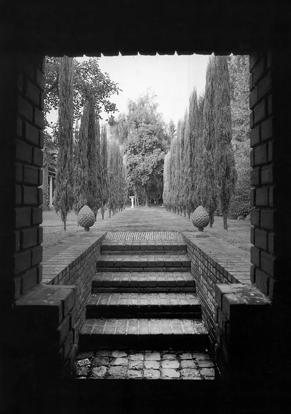 FOTO 8 - Acceso ajardinado Escalera exterior entre cipreses