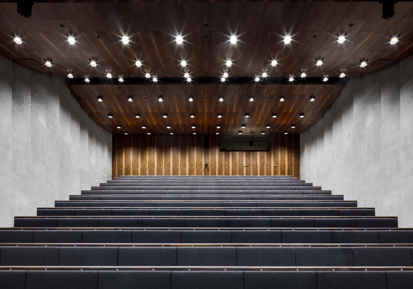 Auditorio — madera y escala Auditorio con revestimiento de madera en la James Simon Galerie