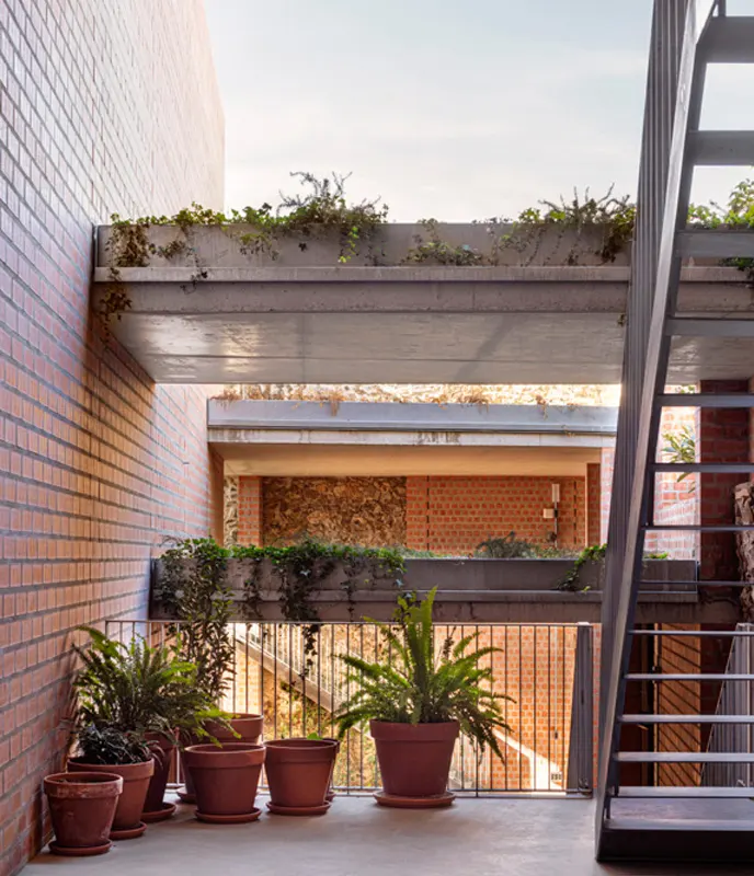 Patio ajardinado Clos Pachem HArquitectes – patio ajardinado como espacio intermedio