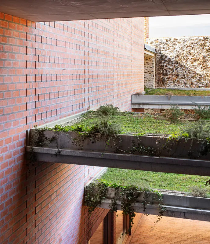 Cubierta ajardinada y agua Clos Pachem HArquitectes – cubierta ajardinada y gestión de agua
