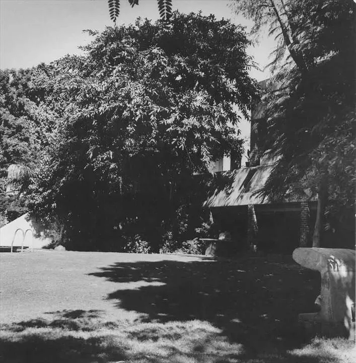 Villa Sarabhai – archivo 4 Archivo: arbolado y sombras junto a las láminas de agua
